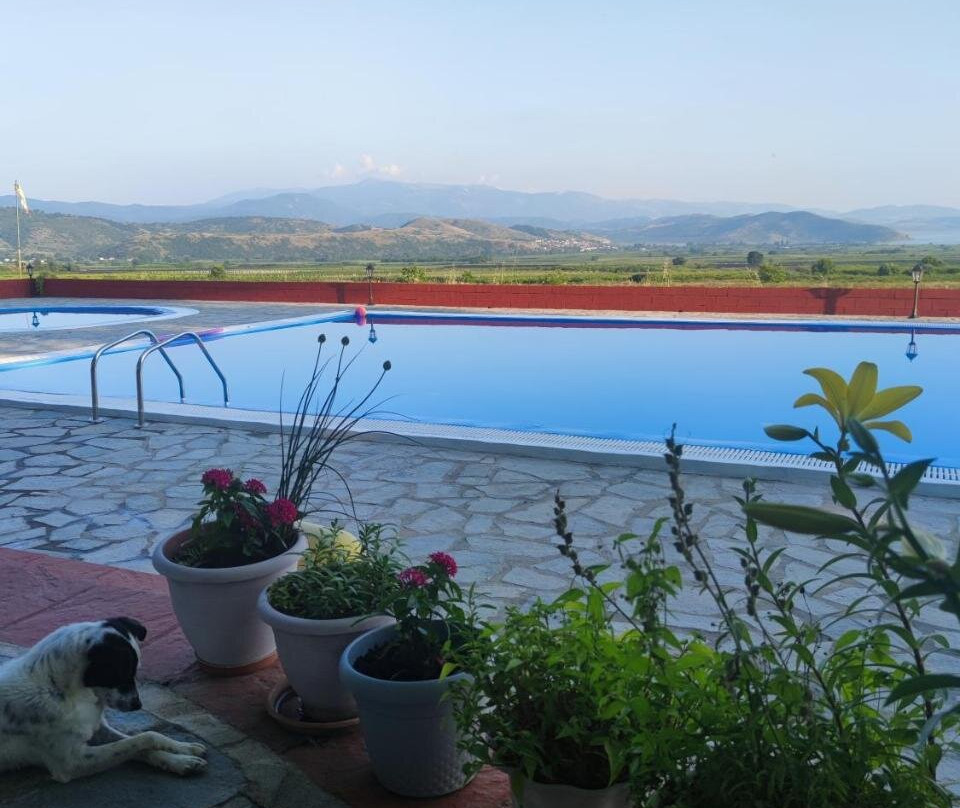 Peri Anemon