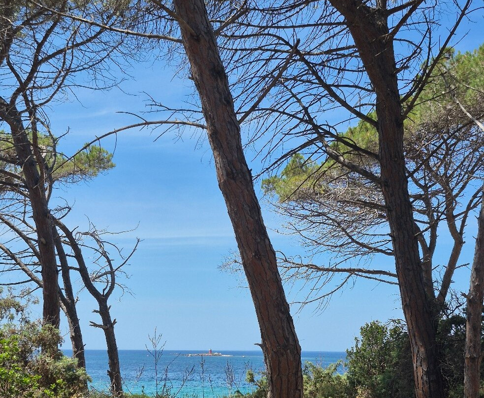 Spiaggia di Maria Pia-阿尔盖罗必去景点