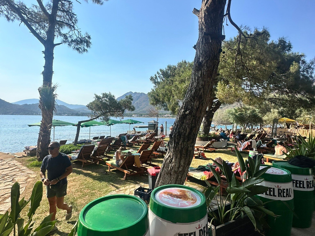 Promil Beach