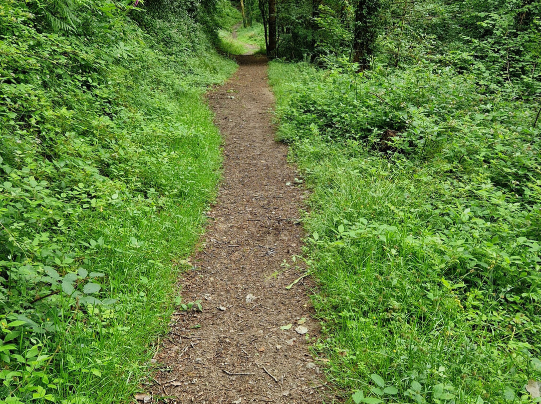 King's Wood-Pentewan必去景点