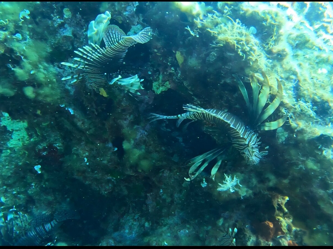 Achilleon Diving Center-Paleokastritsa必去景点