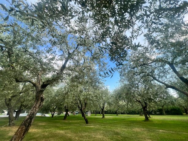 La Cipressina B&B-旅行者