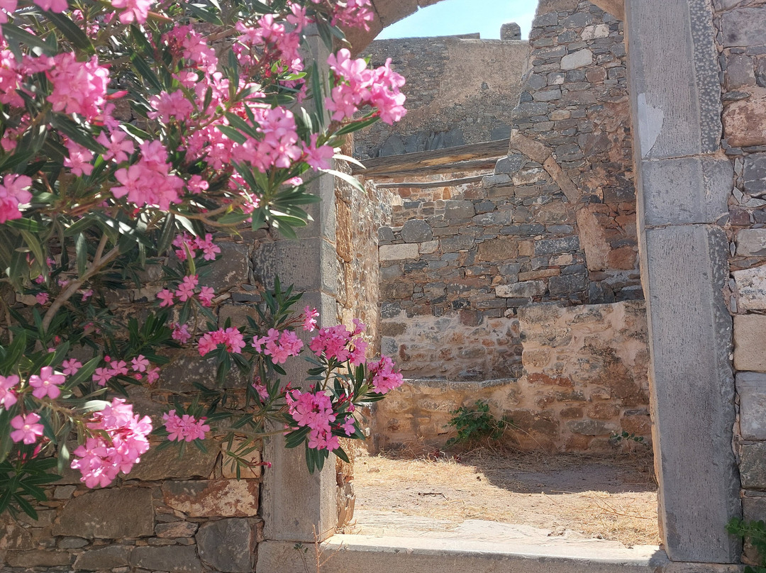 Tour Guides Crete-雷斯蒙必去景点