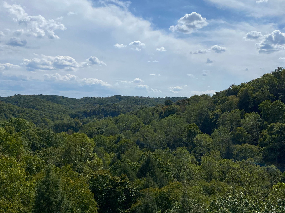 Conkles Hollow State Nature Preserve-Rockbridge必去景点