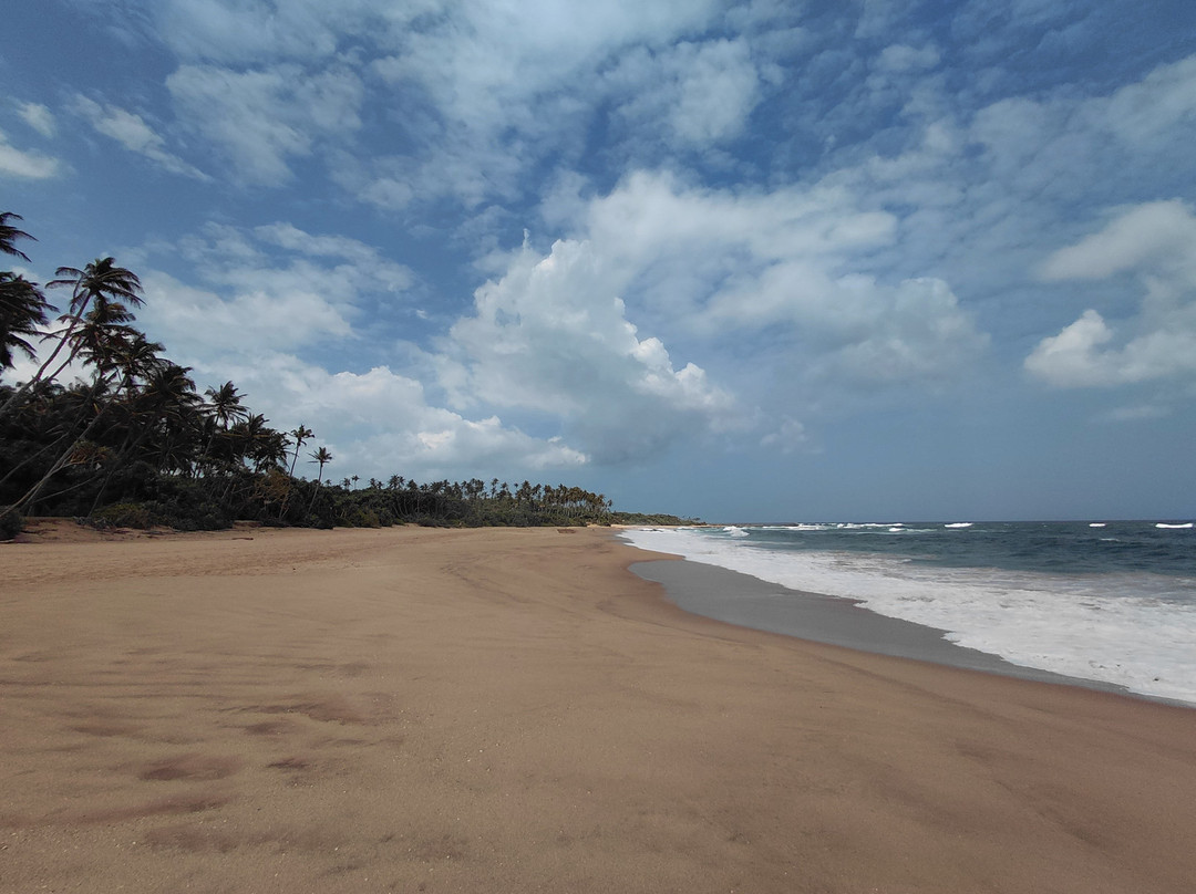 Amour at Turtle Beach