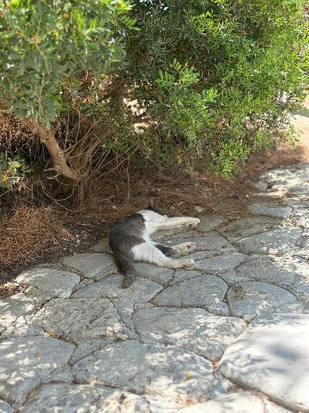 Cameo Island-Agios Sostis必去景点