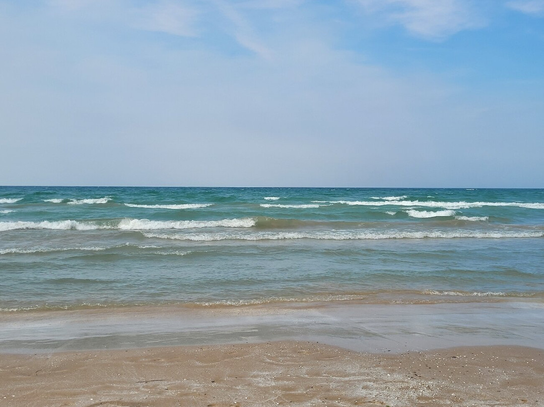 Sandbanks Provincial Park-皮克顿必去景点