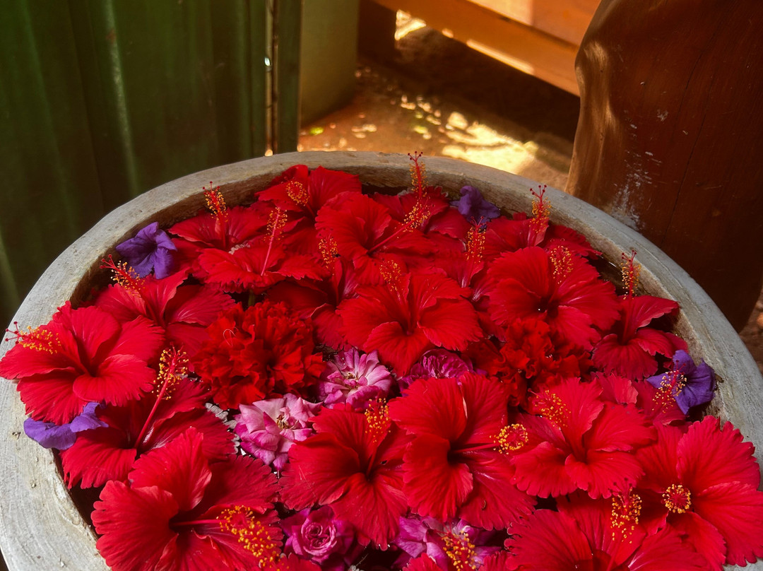 Bentota Ayurveda Center-班托塔必去景点