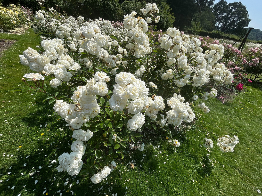 Hergest Croft Gardens-Kington必去景点