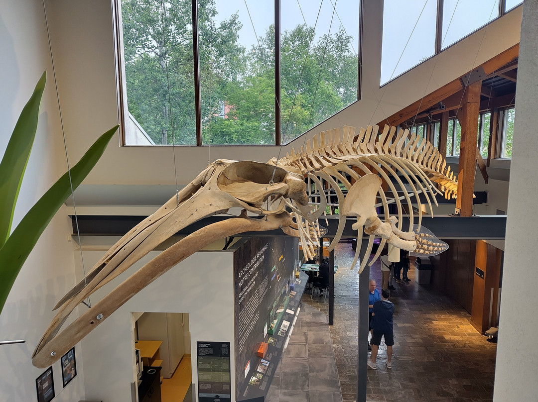 Musee de la nature et des sciences-舍布鲁克必去景点