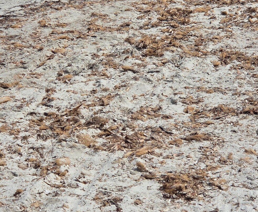Spiaggia di Lu Impostu-San Teodoro必去景点