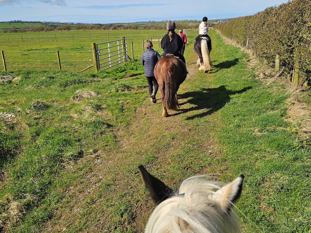 Parkers Riding School-Cockermouth必去景点