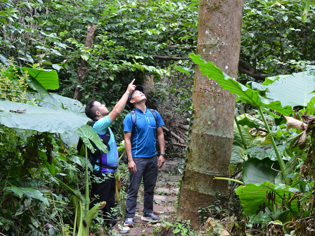 Cat Ba Wellness DMC-Cat Ba Town必去景点