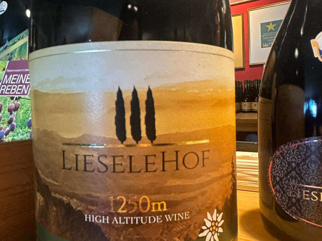 Lieselehof-Caldaro sulla Strada del Vino必去景点