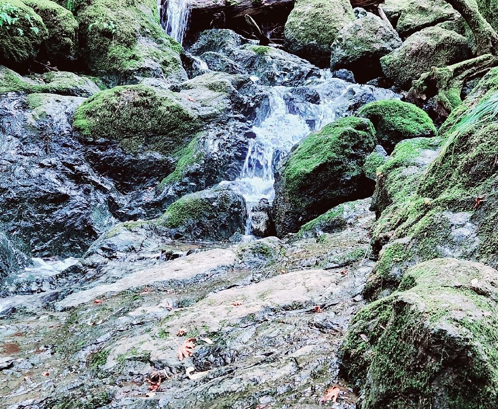 Cataract Falls-Fairfax必去景点