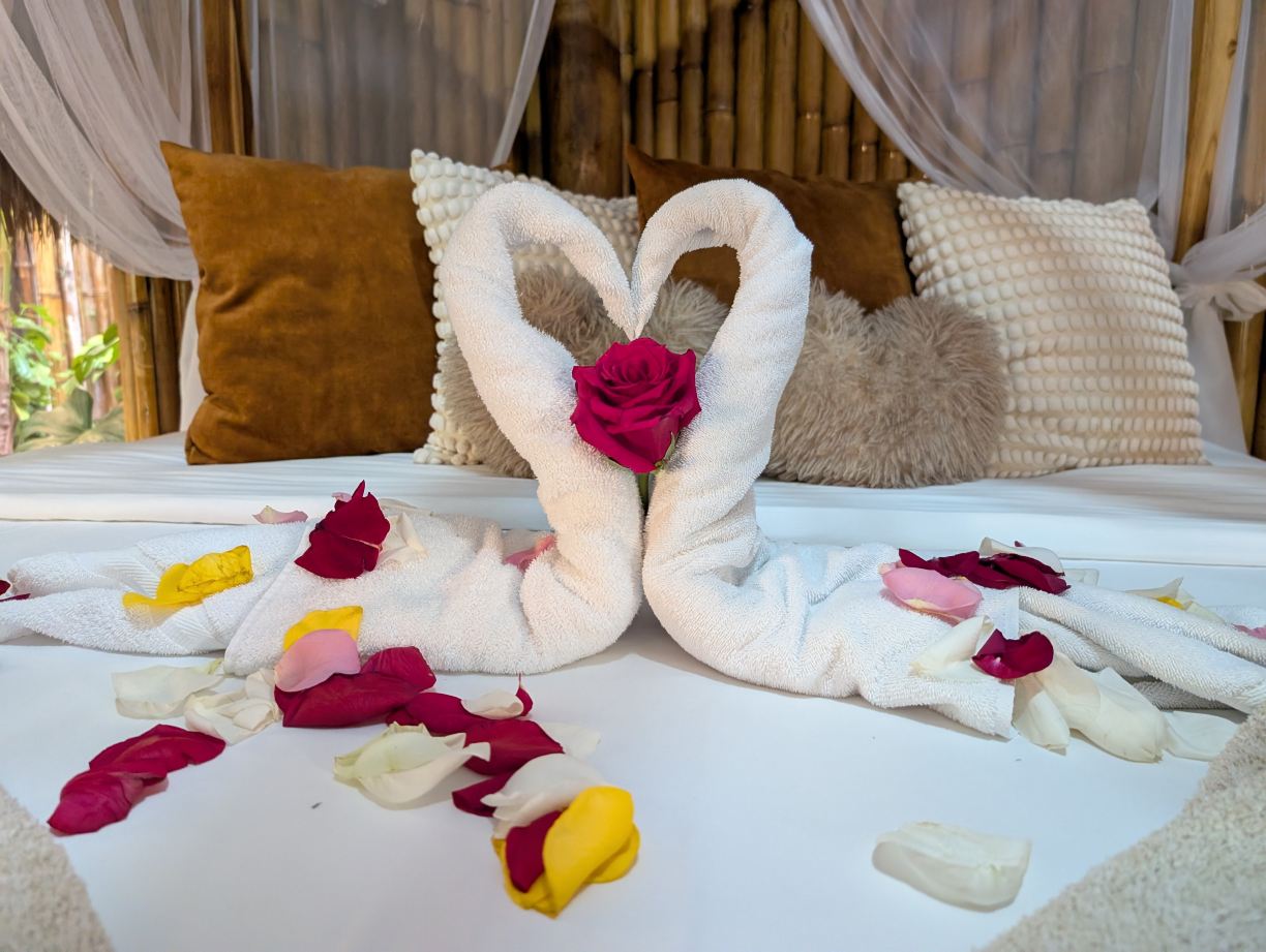 Aruba Ocean Villas-旅行者