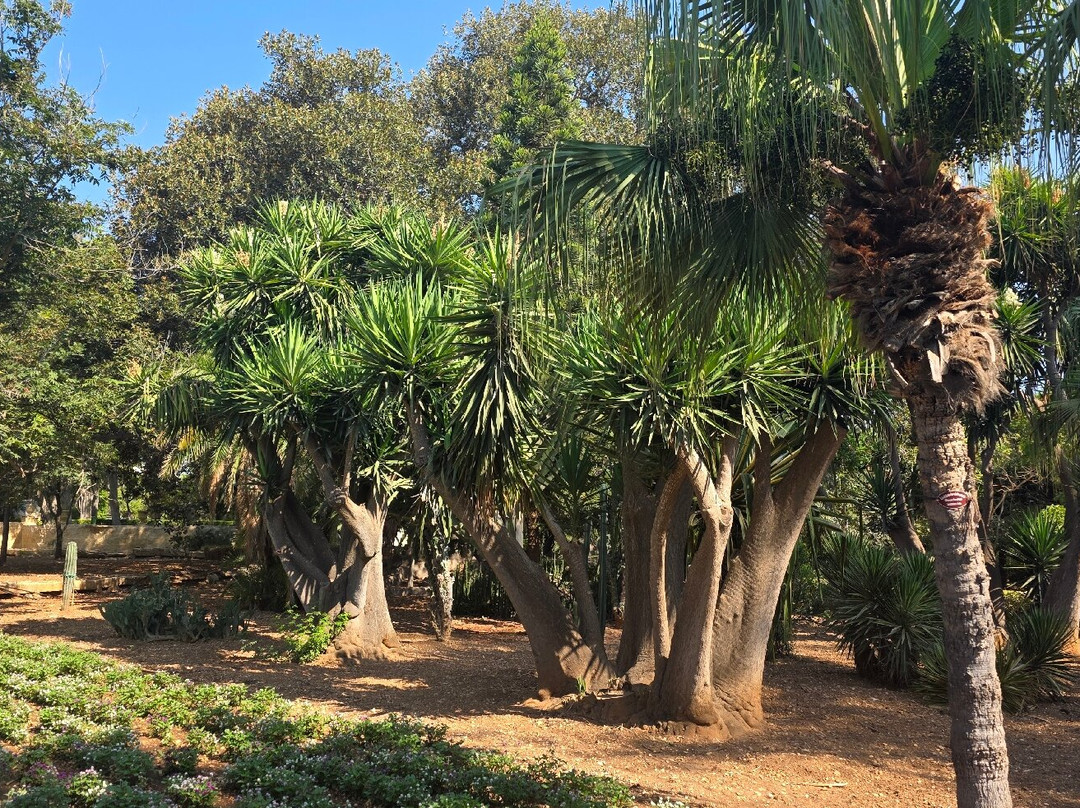 San Anton Gardens-Attard必去景点