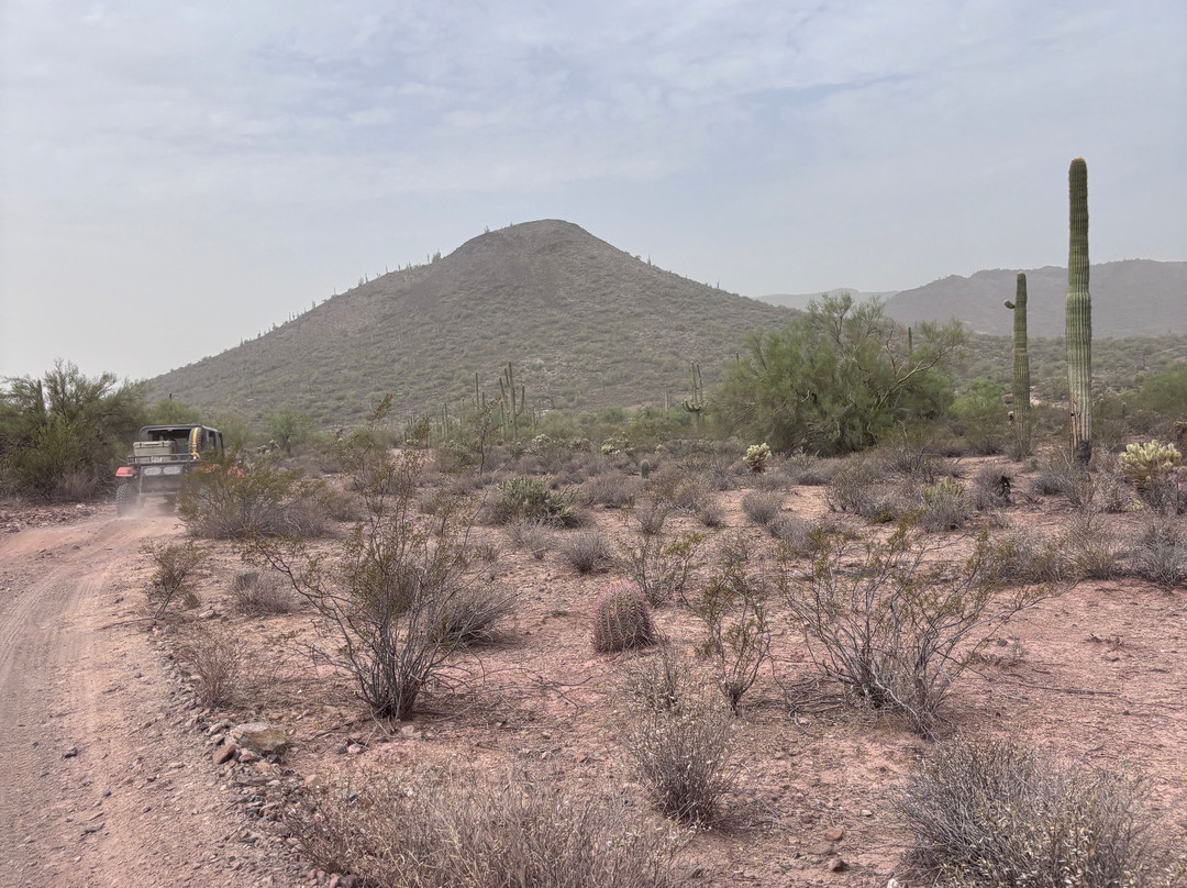 Desert Wolf Tours-凤凰城必去景点