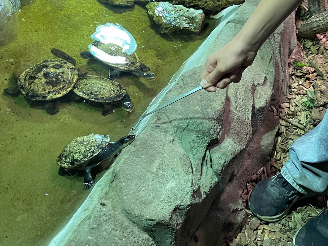 Exotic Zoo Wildlife Park + Natural History & Dino Museum-特尔福德必去景点