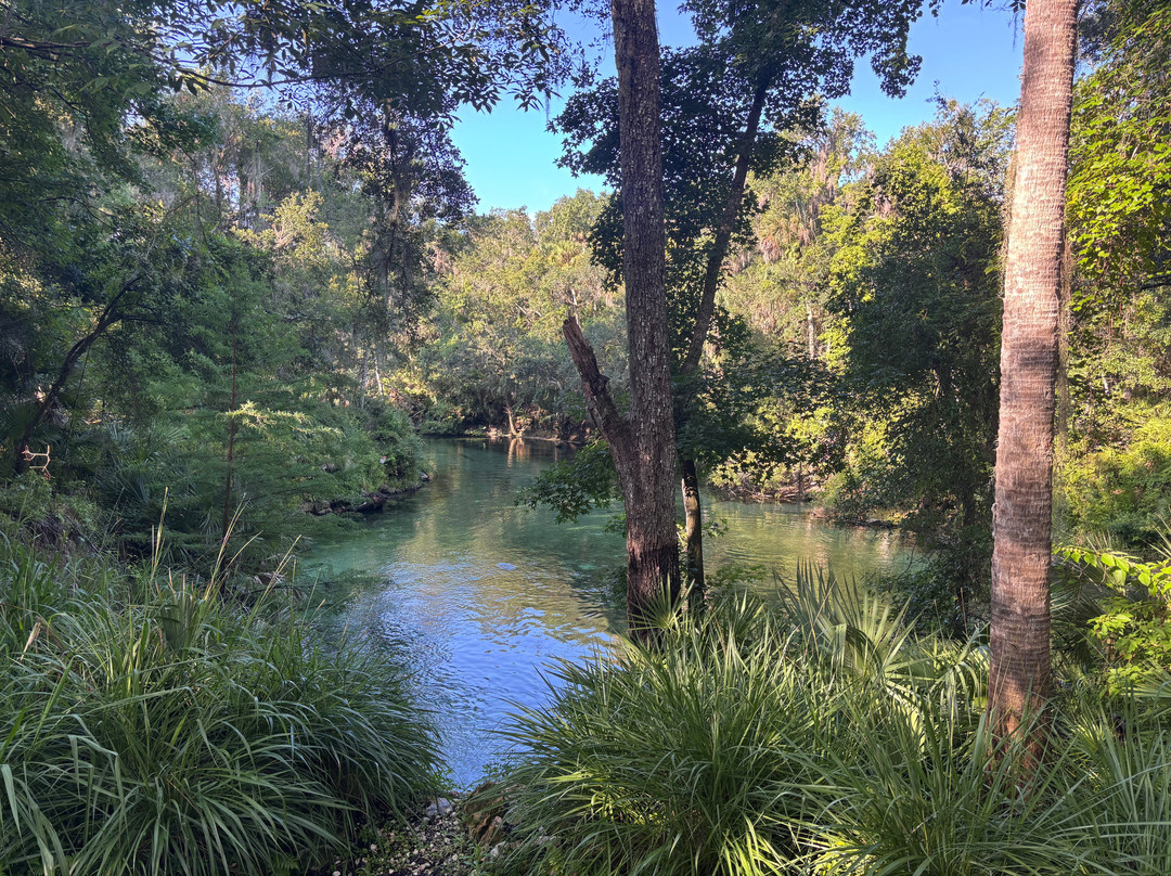 Blue Spring State Park-橙县必去景点