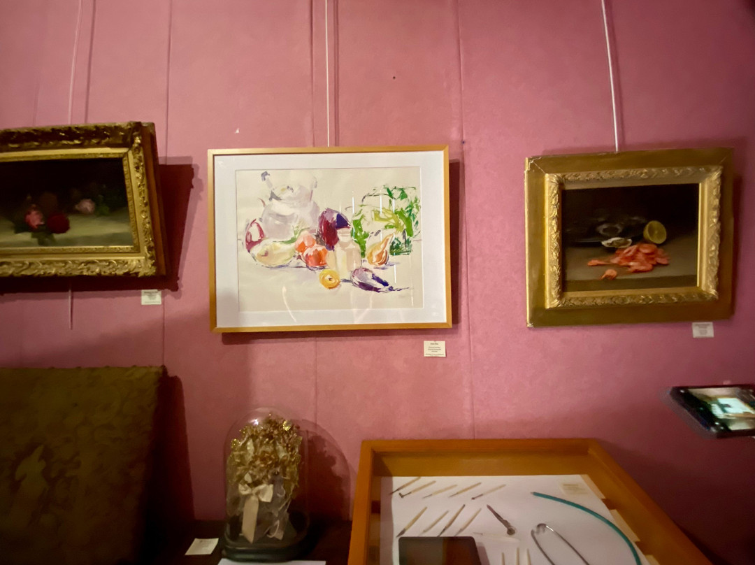 Musée Henri Barré, Thouars-Thouars必去景点