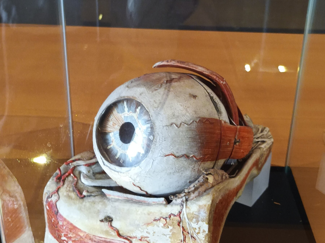 Musée de la lunette-Morez必去景点