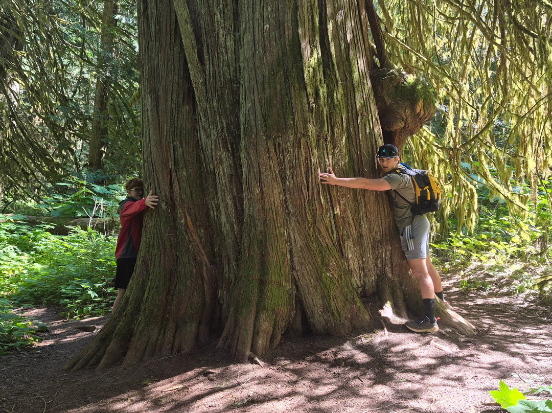 Bella Coola Mountain Lodge主图