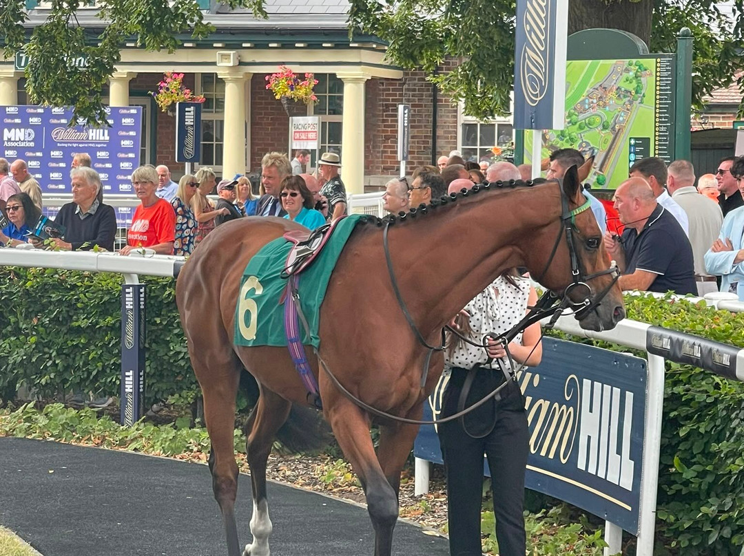 Ripon Racecourse-里彭必去景点