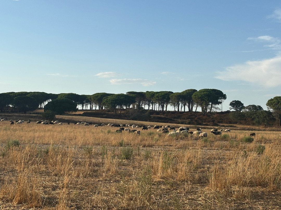 Agriturismo Gragonti（农家乐格拉冈蒂）主图