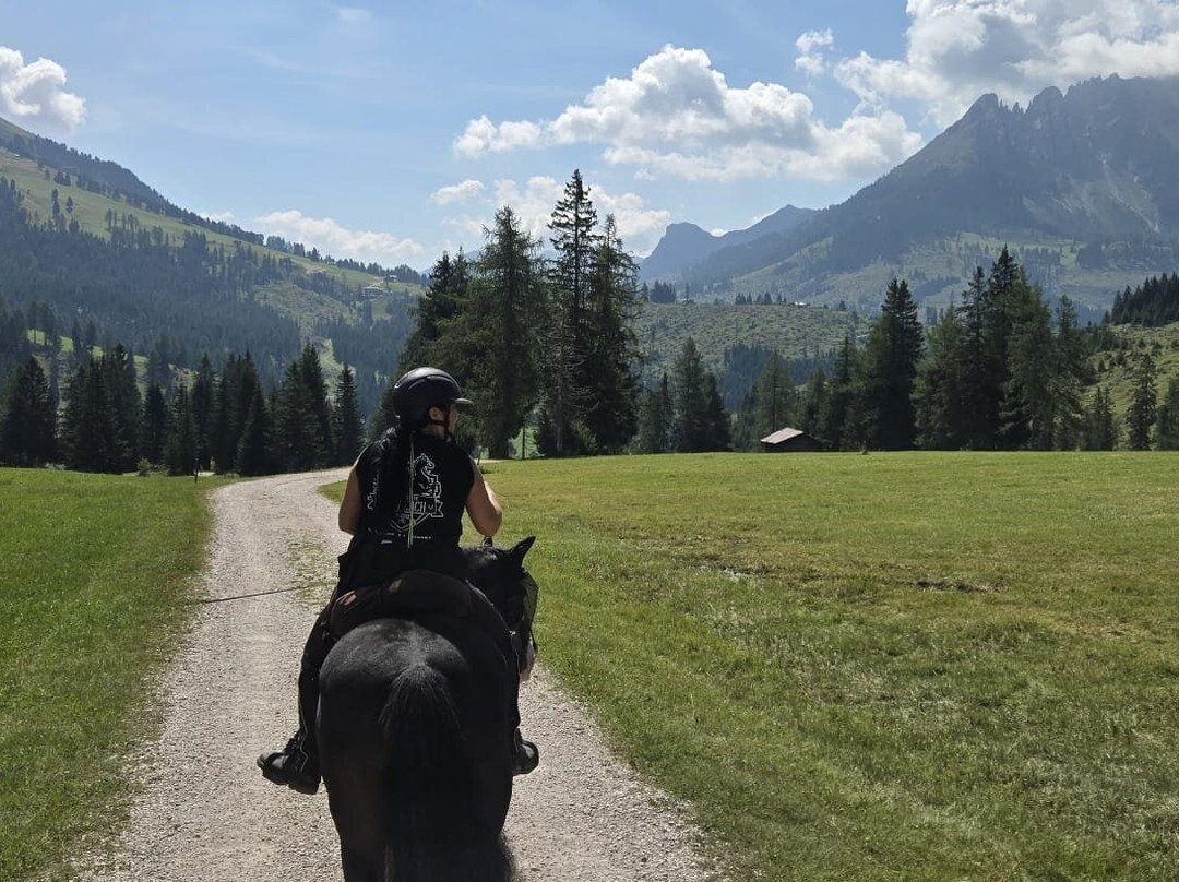 Reitzentrum Angerle Alm-诺瓦莱万泰必去景点
