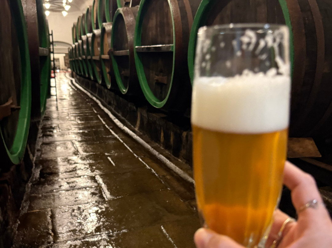 Pilsner Urquell Brewery-皮尔森必去景点