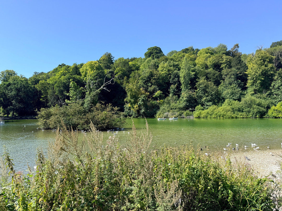 Swanbourne Lake-阿伦德尔必去景点