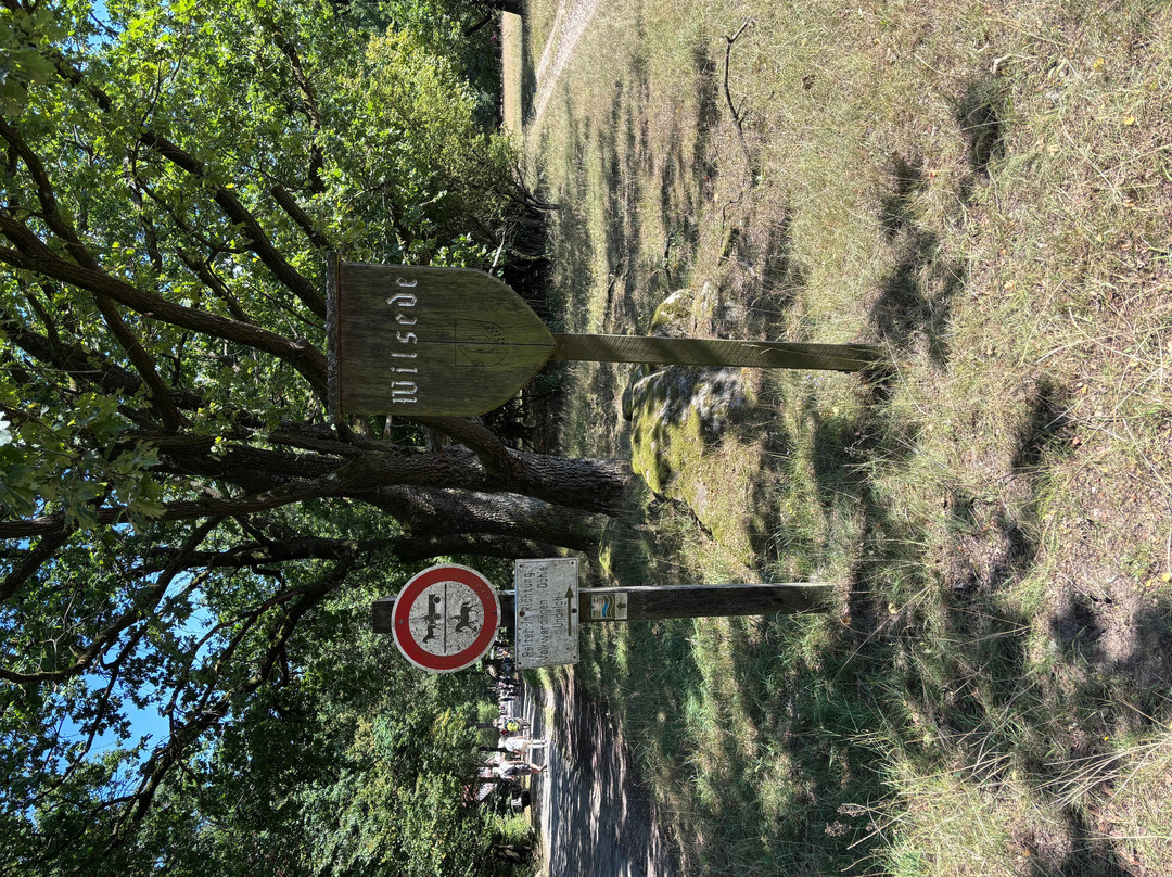 Naturpark Lüneburger Heide-Egestorf必去景点