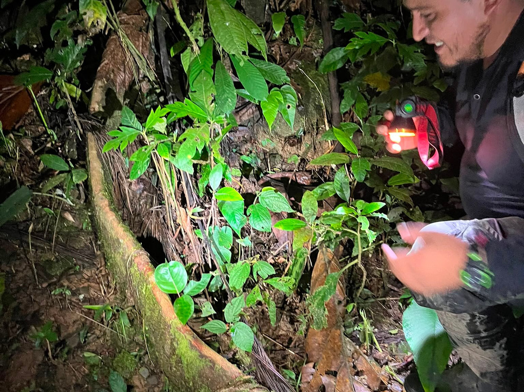 Inkamazonia Jungle Specialist-Manu必去景点