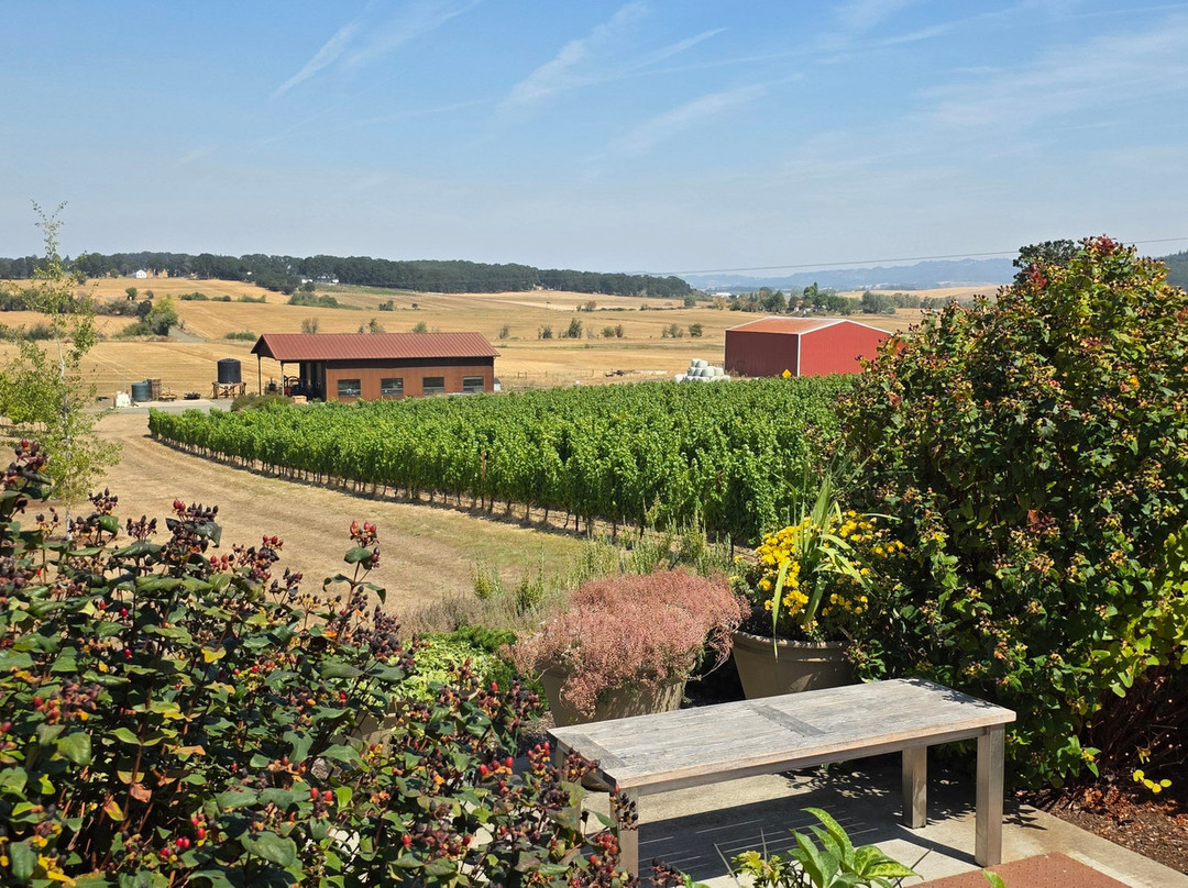 Andante Vineyard-Dallas必去景点