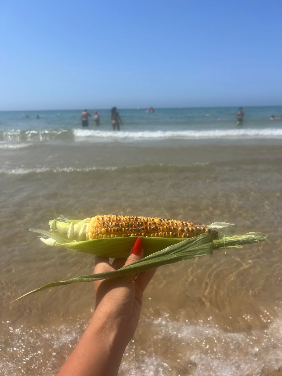 太阳湾酒店-旅行者