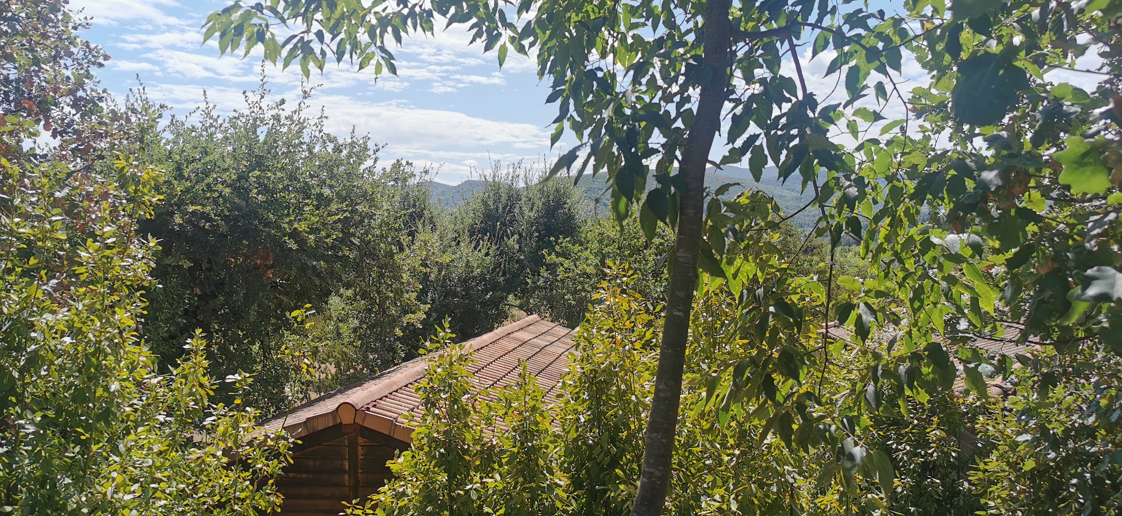 瑞福提约尔度假屋-旅行者