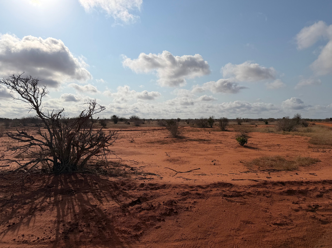 Tsavo East National Park-查佛必去景点
