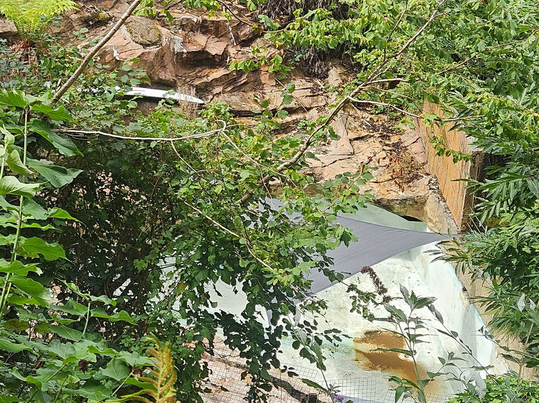 Combe Martin Wildlife And Dinosaur Park-伊尔弗勒科姆必去景点