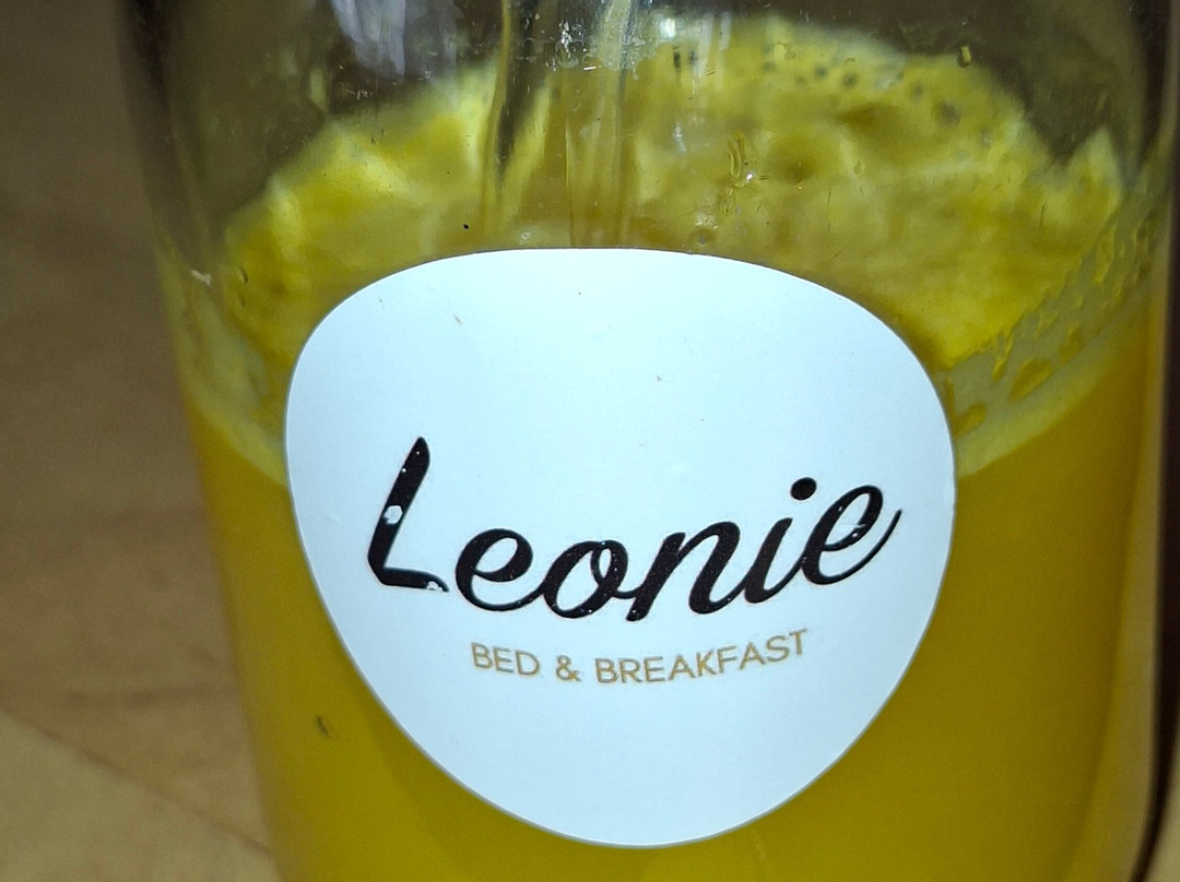B&b Leonie主图