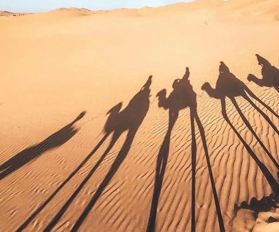 Excursion desert chegagag