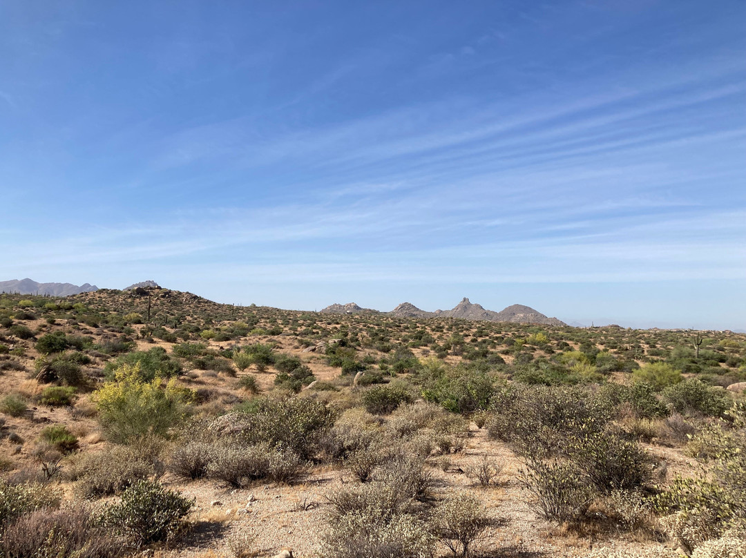 McDowell Sonoran Preserve-斯科茨代尔必去景点