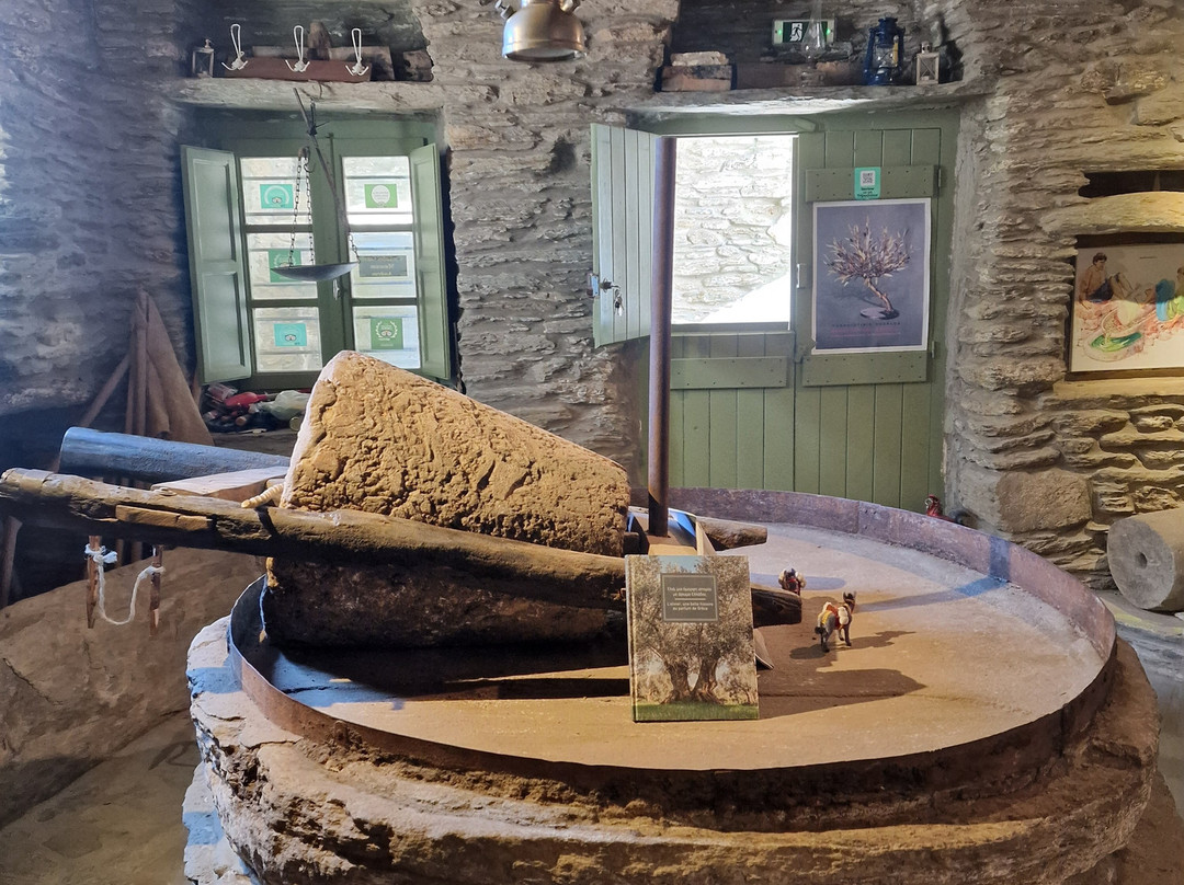 Cyclades Olive Museum-Pitrofos必去景点