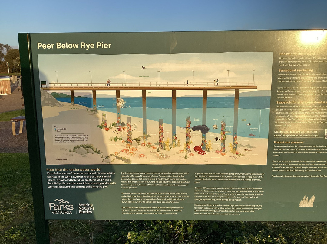 Rye Pier-拉伊必去景点