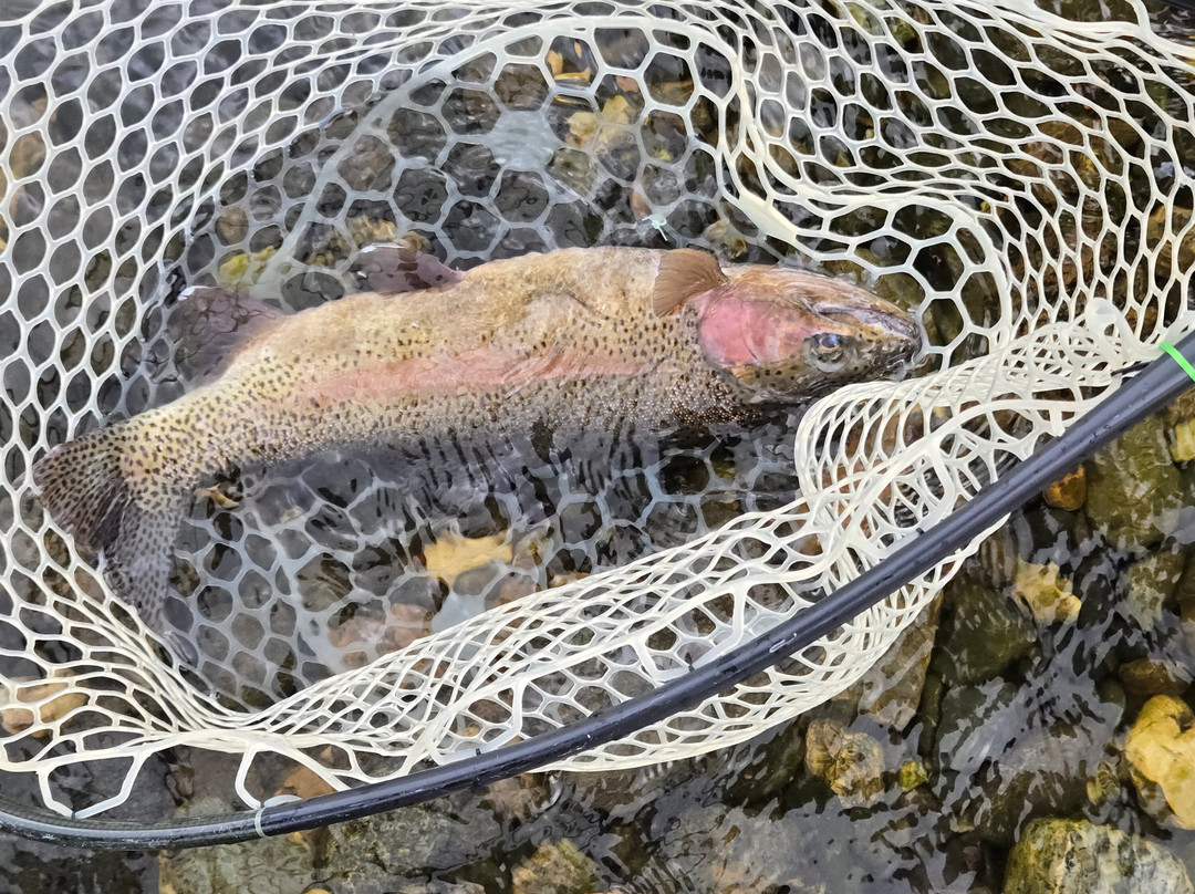Arrick's Fly Shop, Inc.-西黄石镇必去景点