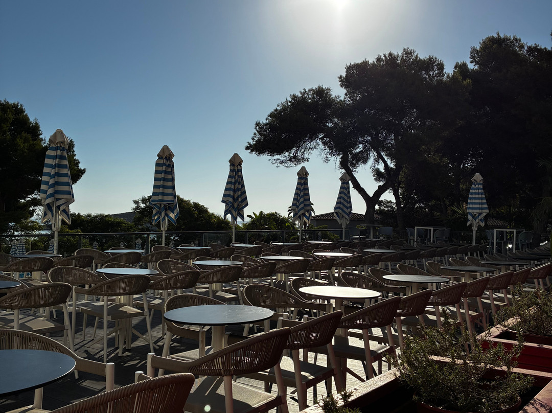 Alua Calvia Mallorca主图