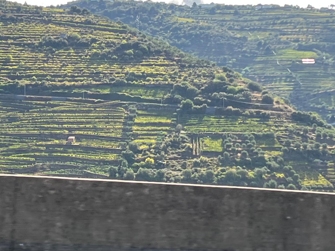 Quinta dos Frades-Armamar必去景点