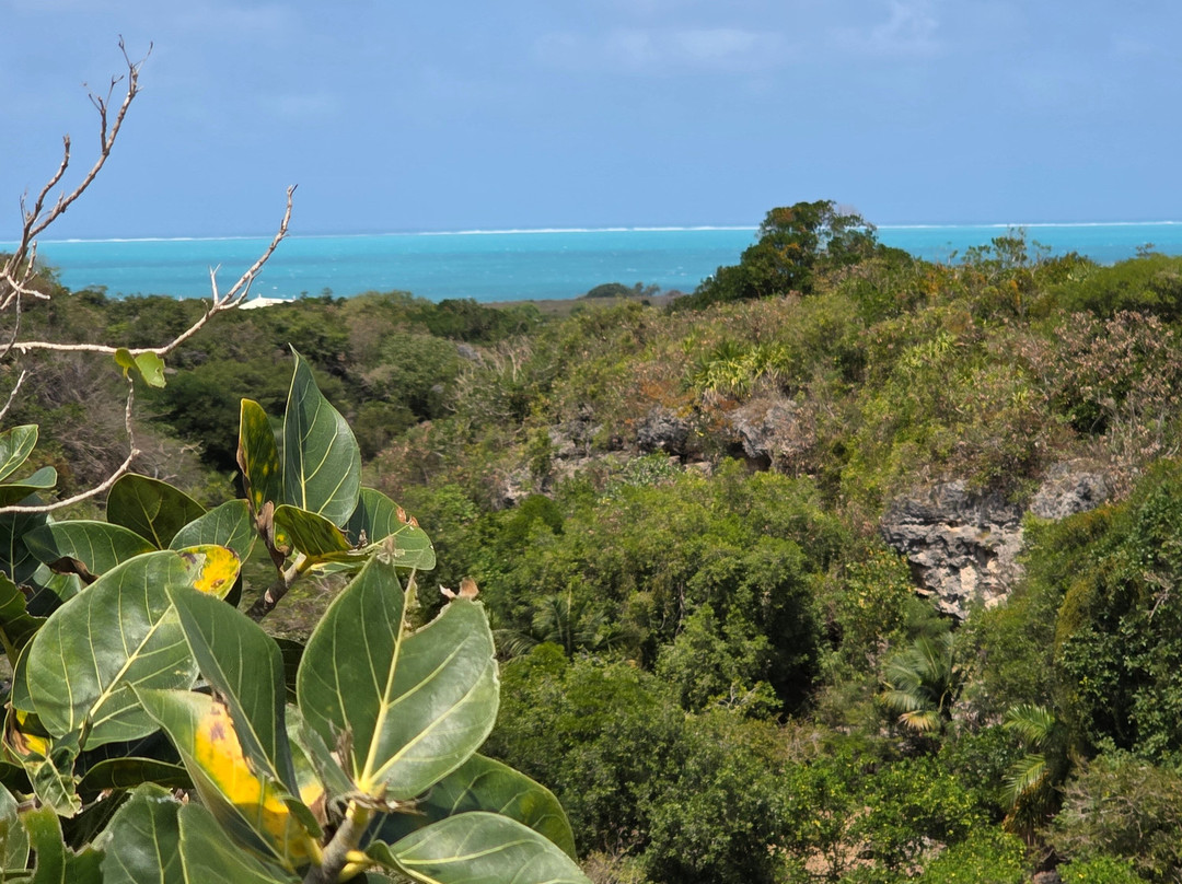 Grande Montagne Nature Reserve-罗德里格斯岛必去景点
