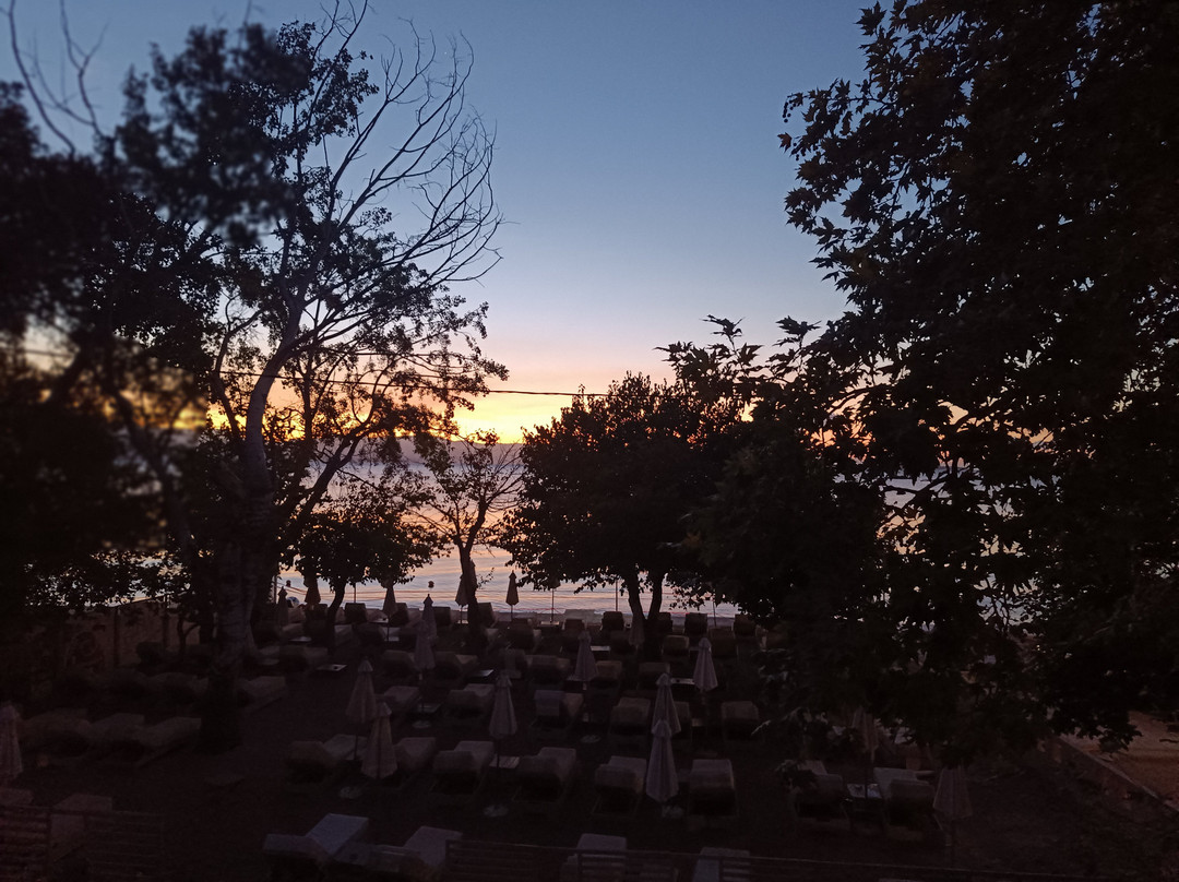Malibu Summer-Dassia必去景点