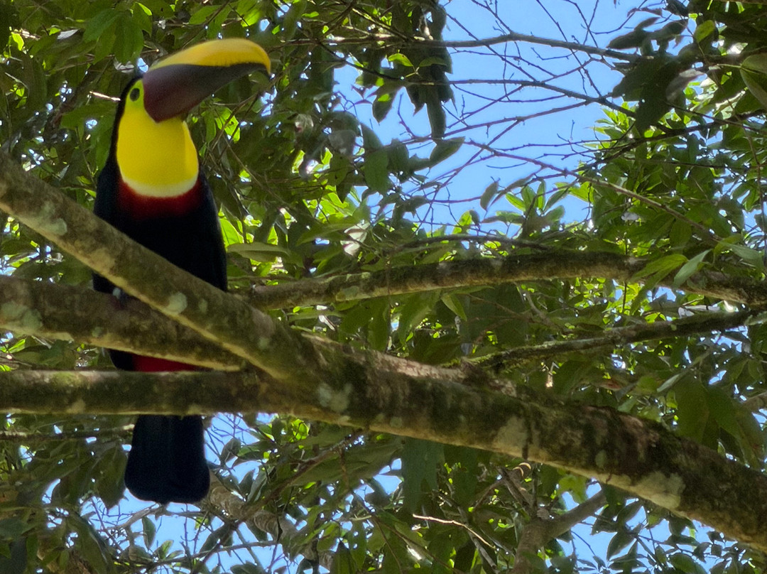 Dave & Dave's Costa Rica Nature Park-La Virgen必去景点
